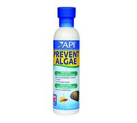 API Prevent Algae Aquarium Algae Control Solution, 237 ml Bottle