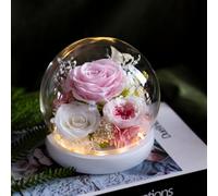 ApisNest Long-Lasting Real Flowers Gifts for Her,Preserved Roses in Glass,Unique Floral Gift for You to Send Love for All Occasions,Birthday Gifts for Women, Mothers Day Flowers for Mom (Pink Rose)