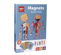 APLI Kids 63 Pieces About the Human Body Magnetic Game