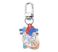 APLudoo Portable Human Organs Keychain Heart Anatomy Keychain Lightweight Rings Accessory for Healthcare Workers Biology Teacher Gift