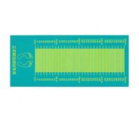 APLVFFZH Anti-Slip for Standing Long Jump Tests and Physical Education, for Sports for Skill Development, Children's PVC Long Jump Mat with Storage Bag (Green), 2.5m x 0.9m
