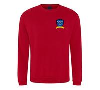 Apm Apparel Sussex County Shield Embroidered Men's Men's Sweatshirt - Your County Sweater Jumper Embroidery (UK, Alpha, M, Regular, Regular, Red)