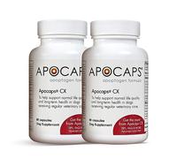 Apocaps CX Apoptogen Formula for Dogs (180 Capsules) - Supports Normal Levels of Apoptosis + Human Grade Ingredients Including Citrus Bioflavonoids, Silymarin, Curcumin and Turmeric + Biovadex