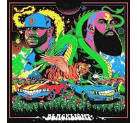 Apollo Brown & Stalley - Blacklight [VINYL]