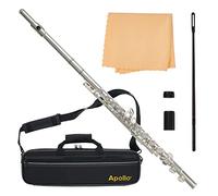 Apollo Flute with C foot, complete with case and accessories