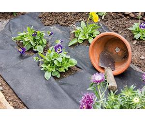 Apollo Gardening Ltd WEED CONTROL 2M X 50M 66468