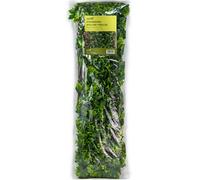 Apollo Maple Leaf Willow Trellis Panel (W)200Cm X (H)100Cm