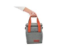 apollo THE HOUSEWARES BRAND Cooler Bag 7L, Insulated Picnic Bag Large Soft Bag for Outdoor, Camping, BBQ, Travel, Keeps Drink Cool for 6 Hours, Grey