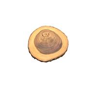 apollo The HOUSEWARES Brand Rustica Board, Round, Acacia Wood, Perfect for Weddings, Christmas, Cakes, Centrepiece, Diameter 20-25cm, Natural