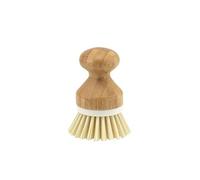 Apollo Vegetable Brush, Multi-Colour, 10x6.5x6.5