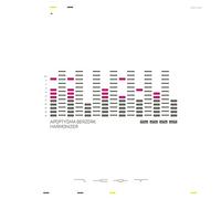 Apoptygma Berzerk - Harmonizer