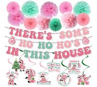 Aposwow Theres Some Ho Ho Hos in This House Decorations, 22PCS Pink Friendsmas Christmas Party Banners Hanging Swirls Decoration, Funny Christmas Theme Paper Pom Poms and Paper Fans Decor Supplies