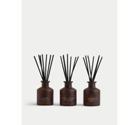 Apothecary Set of 3 Mini Diffuser Set - Amber, Amber