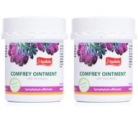 Apotheke Comfrey Ointment Cream Balm Salve 134 ml for Muscle, Joint and Back (Pack of 2)