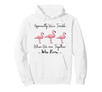 Apparently We're Trouble When We are Together Who Knew Funny Pullover Hoodie