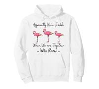 Apparently We're Trouble When We are Together Who Knew Funny Pullover Hoodie