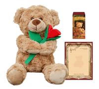 APPCRFM Cute Bear Valentine's Day Plush, Teddy Bear Plush Doll, Small Teddy Bear with Love, Valentine's Day Mother's Day Birthday Heartwarming Gift, Home Decorations 30CM (B)