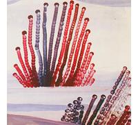 Appendix Out - The Night is Advancing