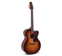 Applause AEJ96-1 Jumbo Cut Electro