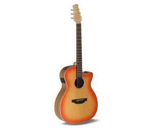 Applause E-Acoustic Guitar - Jump OM Electro Cut - Solid Spruce Top - Ovangkol Back - Cutaway - Honey Burst Matte - AEO-69-HB