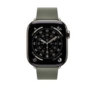 Apple 42mm Sage Grey Modern Buckle - Large