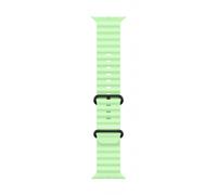 Apple Black Titanium Finish Band Green Fluoroelastomer, Titanium