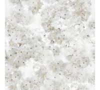Apple Blossom Natural Wallpaper - Floral Flowers Naturistic Petals - Glamorous Trendy Stylish Feature Wall