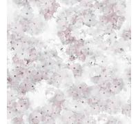 Apple Blossom Rose Pink Wallpaper - Floral Flowers Naturistic Petals - Glamour Trendy Stylish Feature Wall