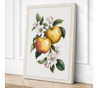 Apple Blossom Study Botanical Canvas Wall Art Print 18x12 Inch (46 x 30 cm)