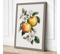 Apple Blossom Study Botanical Canvas Wall Art Print 30x20 Inch (76 x 51 cm)
