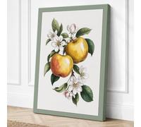 Apple Blossom Study Botanical Canvas Wall Art Print 36x24 Inch (91 x 61 cm)
