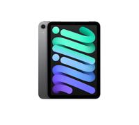 Apple iPad Mini A2993 A17 Pro Chip 8.3" 256GB Storage WiFi Tablet - Space Grey