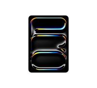 Apple iPad Pro 2024 11 Standard Glass Silver 2TB Cellular Tablet