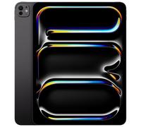 Apple 13-inch iPad Pro WiFi 1TB with Standard glass - Space Black