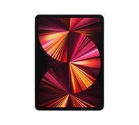 Apple iPad Pro 5th Gen 11in Wi-Fi + Cellular 1024GB - Space Grey