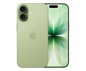 Apple iPhone 17 16 cm (6.3 ) Dual SIM iOS 26 5G USB Type-C 256 GB Sage