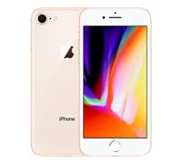 Apple Smartphone iPhone 8 64GB Gold
