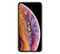 Apple iPhone XS Max, 256GB, Gold - Fully Unlocked (Renewed)