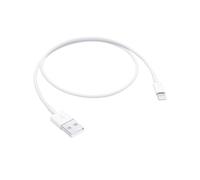 Apple Lightning to USB Cable (0.5 m)