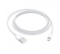 Apple Lightning To USB Cable (1m)