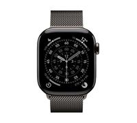 Apple MGJ14ZM/A smart wearable accessory Band Slate colour Stainless steel