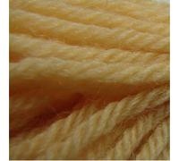 Appletons Crewel Wool - Shade 851 - One x 25 Metre Skein