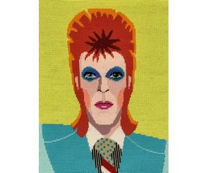 Appletons David Bowie Tapestry Kit Designed by Emily Peacock, 30cm x 34cm