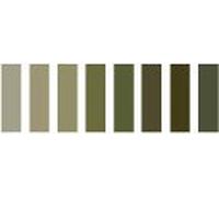 Appletons Tapestry Wool MID Olive Green Range 341-348 so 8 x 10m skeins