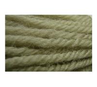 Appletons Tapestry Wool - Shade 351 - One x 10 Metre Skein