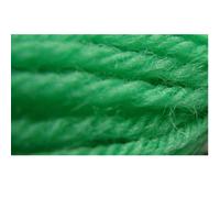 Appletons Tapestry Wool - Shade 432 - One x 10 Metre Skein