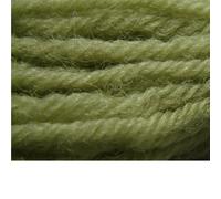 Appletons Tapestry Wool - Shade 542 - One x 10 Metre Skein