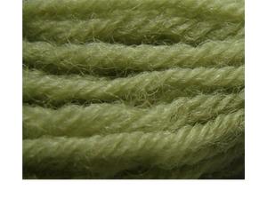 Appletons Tapestry Wool - Shade 542 - One x 10 Metre Skein