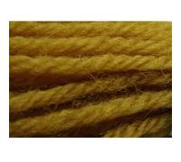 Appletons Tapestry Wool - Shade 843 - One x 10 Metre Skein