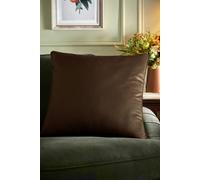 Appletree Harlan Velvet Brown Filled Cushion